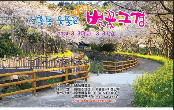 서홍동 벚꽃축제